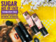 Sugar Cosmetics Ace of Face Foundation Stick Review